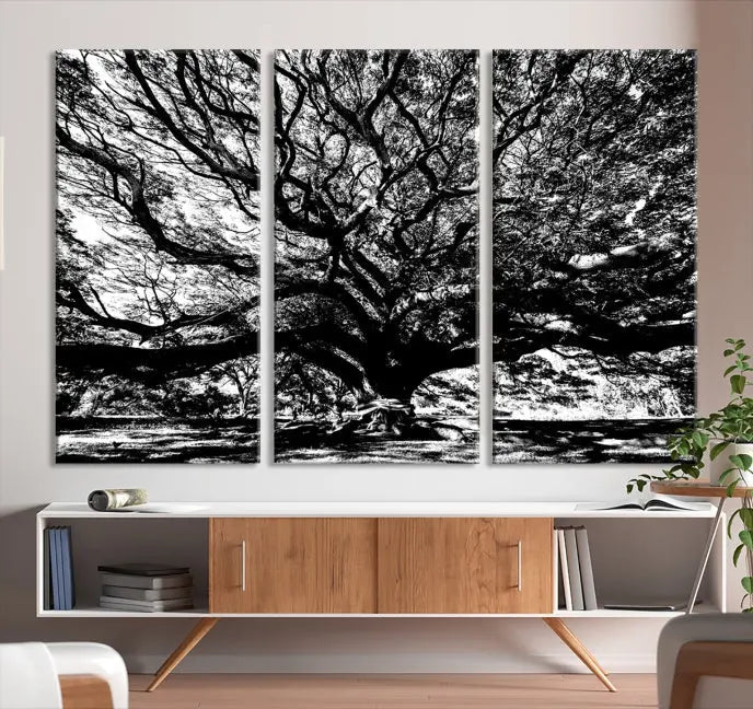 The Mighty Angel Oak Wall Art, featuring a stunning depiction of the Angel Oak Tree on a museum-quality canvas, adorns the wall. These ready-to-hang pieces come with a UV-protective coating, guaranteeing enduring elegance.