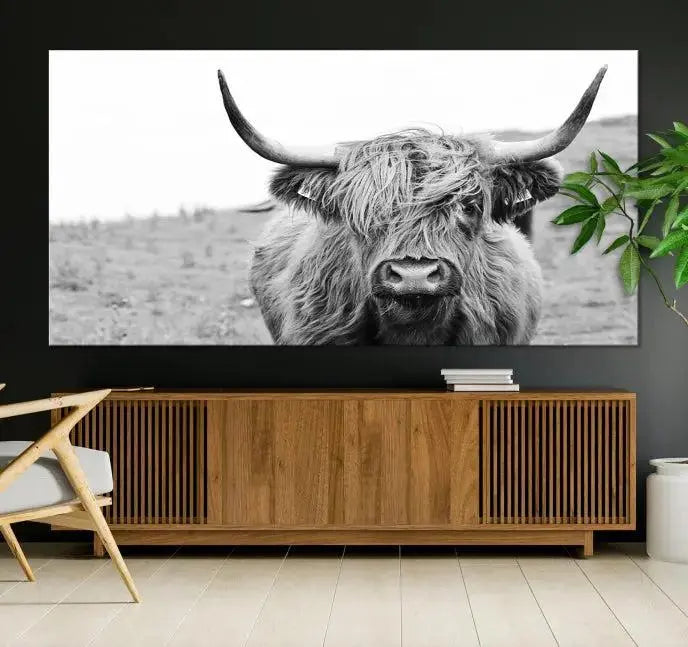 Newfoundland Cow Art Wall Art Canvas Print features a museum-quality, black-and-white triptych of a Highland cow with large horns, ideal for hanging on a dark wall.