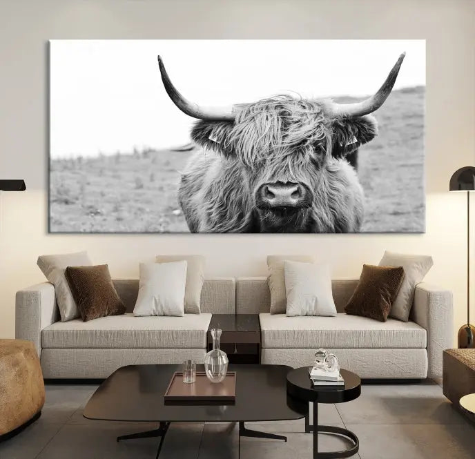 Newfoundland Cow Art Wall Art Canvas Print 