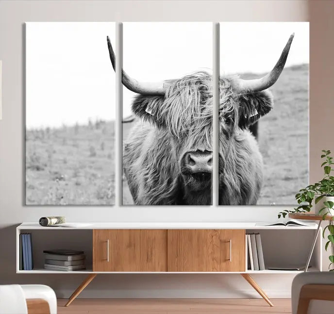 Newfoundland Cow Art Wall Art Canvas Print 