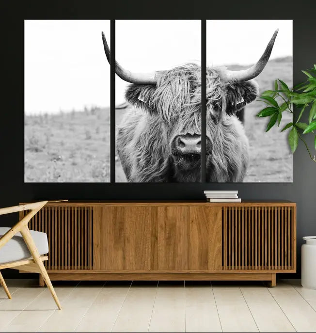 Newfoundland Cow Art Wall Art Canvas Print 