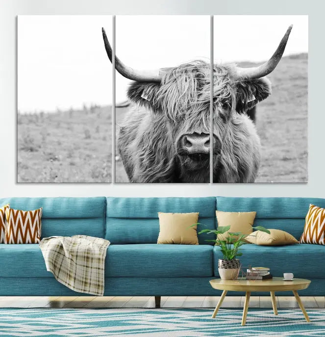 Newfoundland Cow Art Wall Art Canvas Print 