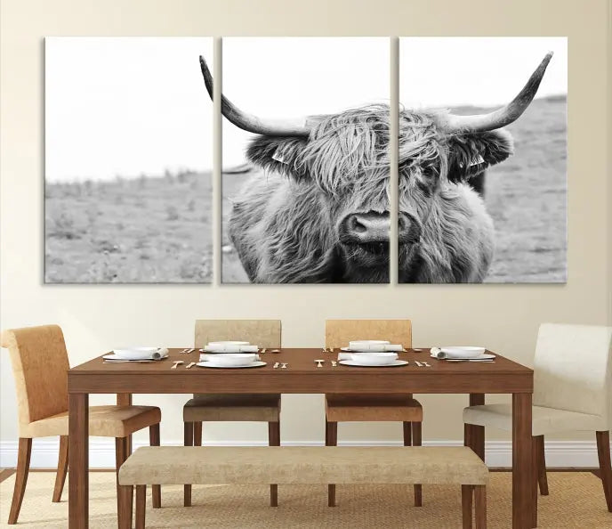 Newfoundland Cow Art Wall Art Canvas Print 