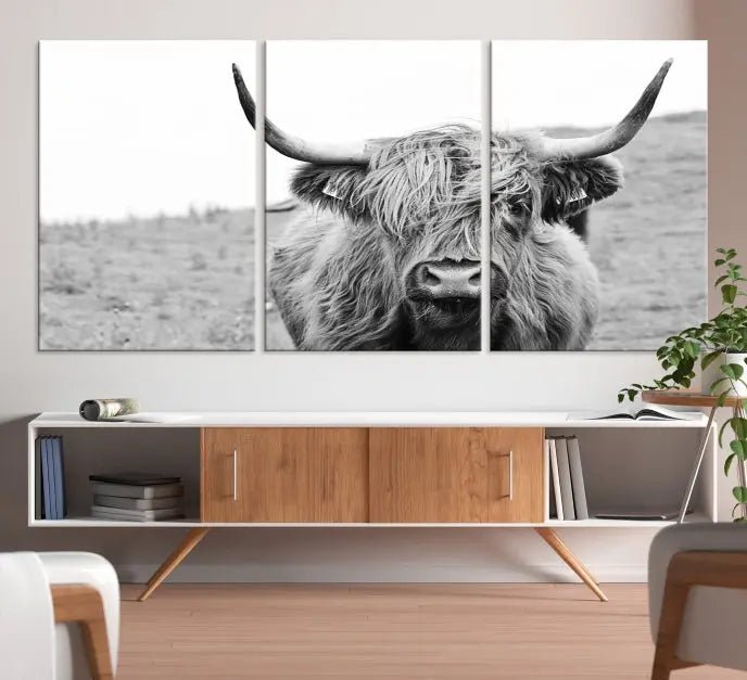 Newfoundland Cow Art Wall Art Canvas Print 