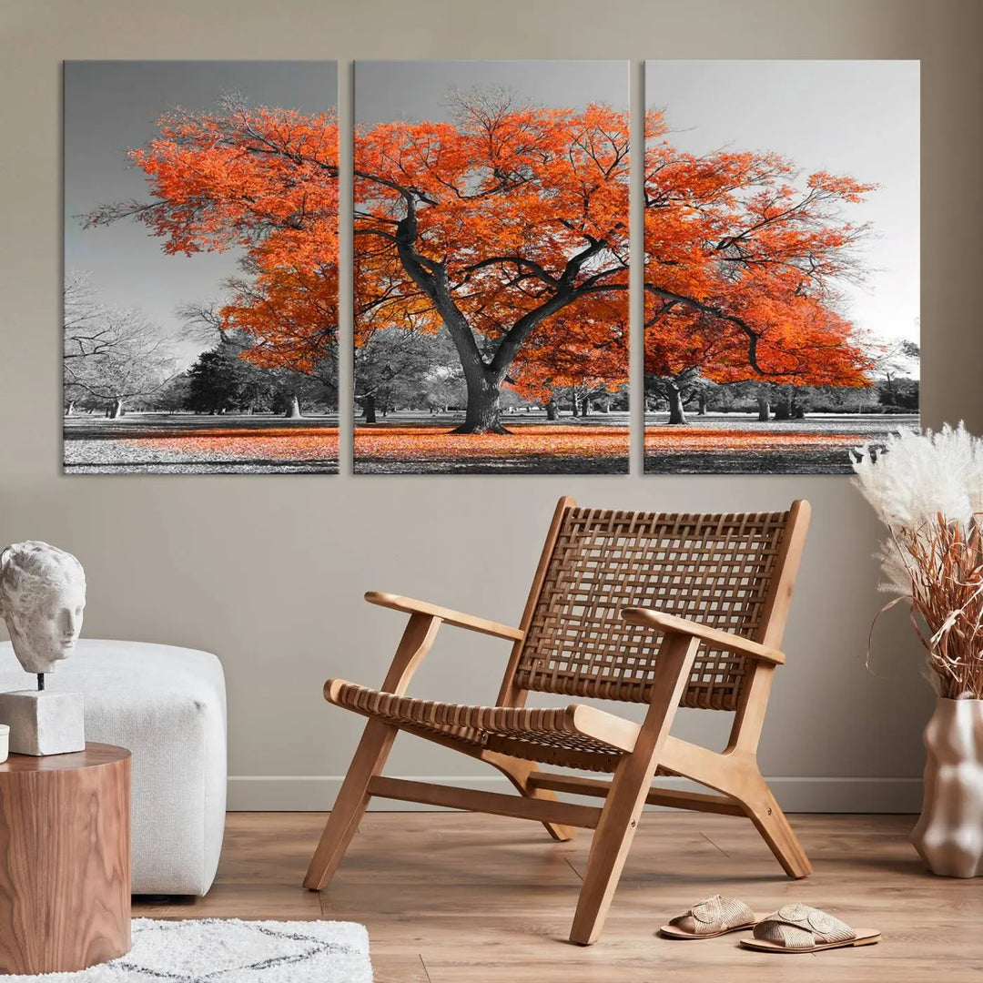 The "Orange Autumn Tree Canvas Wall Art Print" features a triptych of a tree with vibrant orange leaves set in a grayscale park. It's printed on museum-quality canvas and safeguarded by a UV-protective coating, making it the perfect artwork for any space.