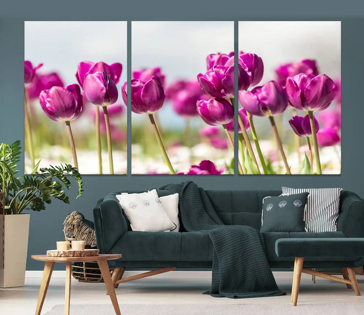 A triptych of purple tulips adds elegance to a modern living room. The Purple Tulips Canvas Wall Art Print, crafted on museum-quality canvases, captures the essence of professional artistry.