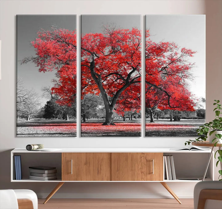 The triptych art of a Red Autumn Tree features vibrant red leaves contrasted against a black and white background, beautifully presented on museum-quality canvas from the "Red Autumn Tree Canvas Wall Art Print Autumn Art Black and White Nature Photo Art Tree" collection.