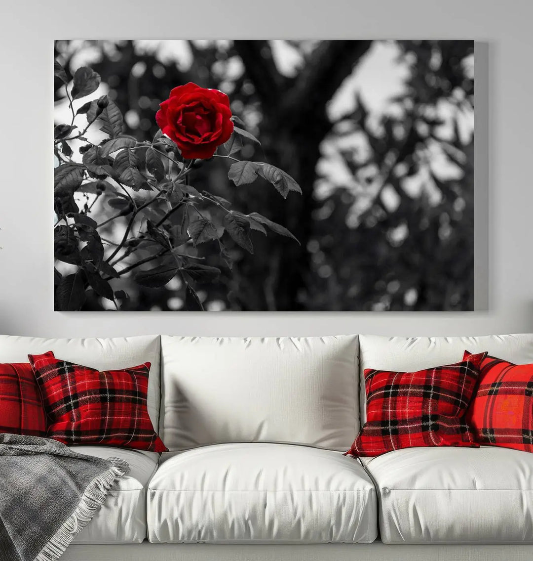 A black and white photo of the Red Rose adorns the wall, printed on museum-quality canvas. The gallery-wrapped edges provide a seamless finish protected by UV-coating for lasting brilliance.