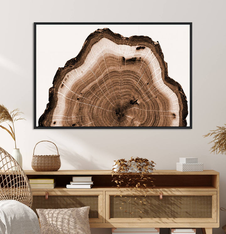 Rustic Wood Rings Wall Art | Nature-Inspired Tree Ring Canvas Print | Ready to Hang and Framed for Farmhouse Wall Decor