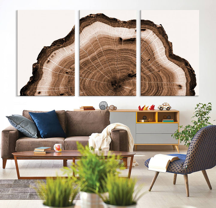 45195-MGV-CV-36X24-Rustic Wood Rings Wall Art | Nature-Inspired Tree Ring Canvas Print | Ready to Hang and Framed for Farmhouse Wall Decor