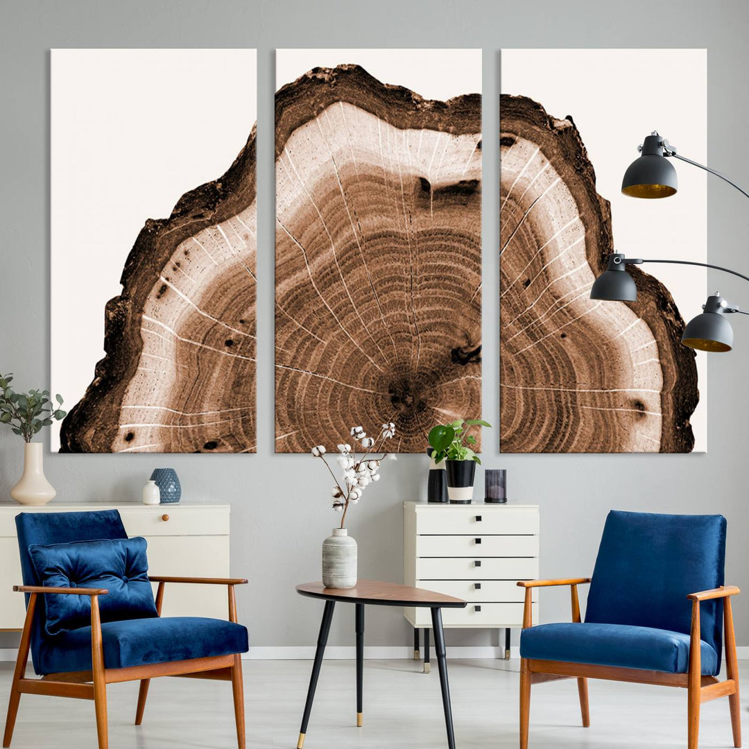 45195-MGV-CV-36X24-Rustic Wood Rings Wall Art | Nature-Inspired Tree Ring Canvas Print | Ready to Hang and Framed for Farmhouse Wall Decor