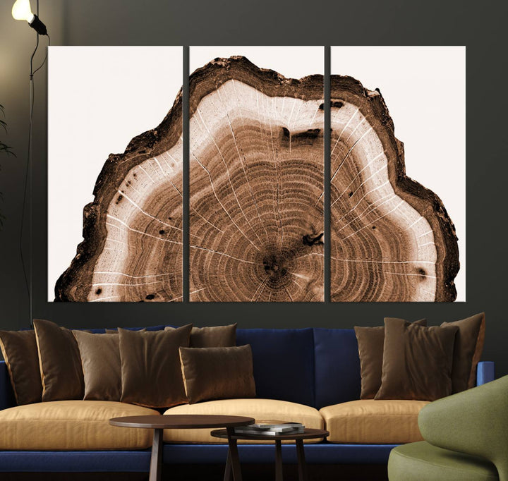 45195-MGV-CV-36X24-Rustic Wood Rings Wall Art | Nature-Inspired Tree Ring Canvas Print | Ready to Hang and Framed for Farmhouse Wall Decor