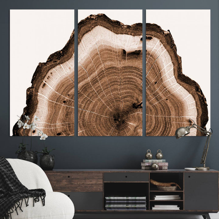 45195-MGV-CV-36X24-Rustic Wood Rings Wall Art | Nature-Inspired Tree Ring Canvas Print | Ready to Hang and Framed for Farmhouse Wall Decor