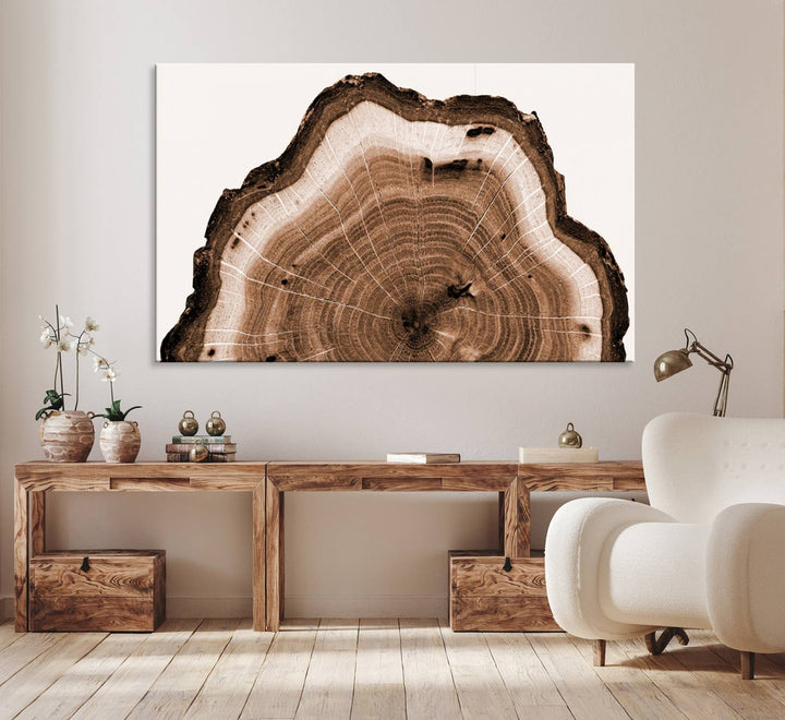 Rustic Wood Rings Wall Art | Nature-Inspired Tree Ring Canvas Print | Ready to Hang and Framed for Farmhouse Wall Decor