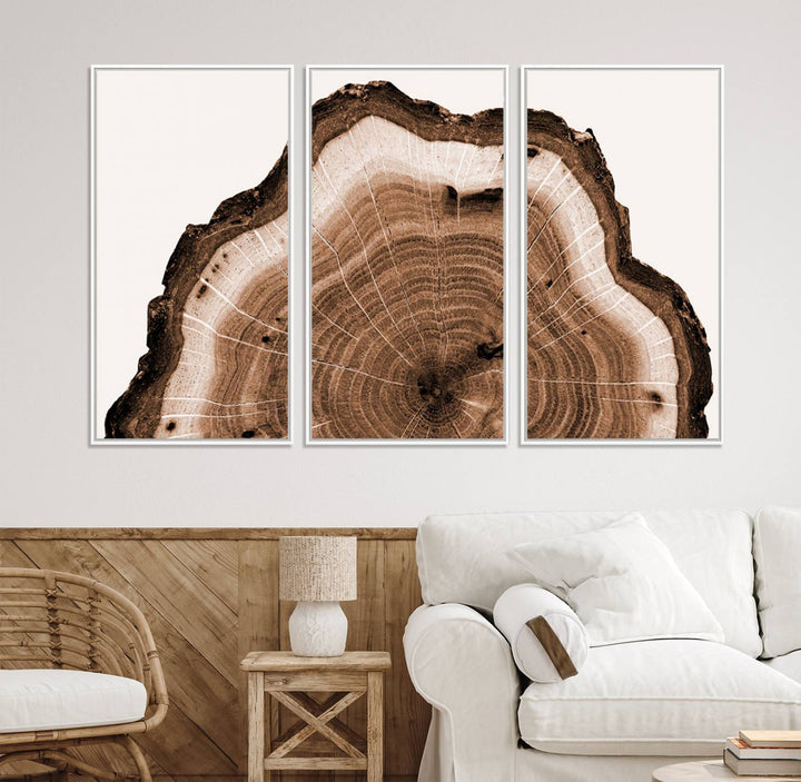 45195-MGV-CV-36X24-Rustic Wood Rings Wall Art | Nature-Inspired Tree Ring Canvas Print | Ready to Hang and Framed for Farmhouse Wall Decor