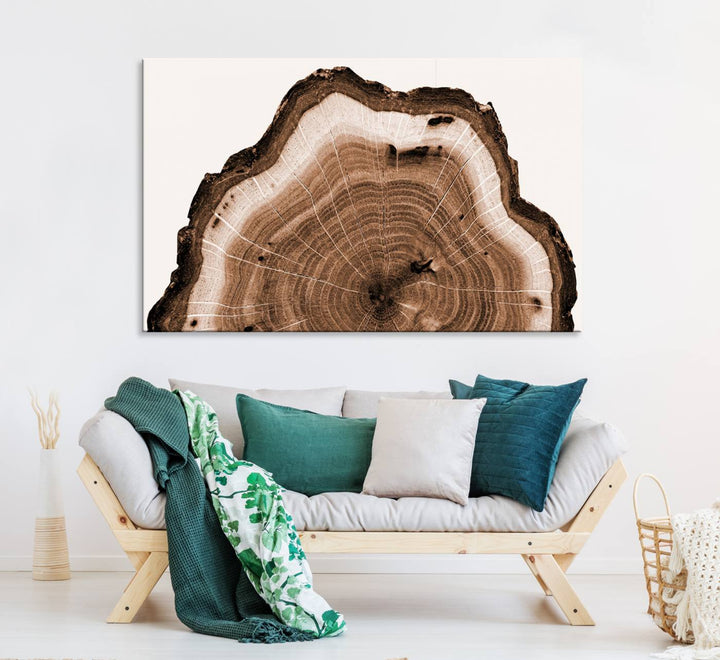 Rustic Wood Rings Wall Art | Nature-Inspired Tree Ring Canvas Print | Ready to Hang and Framed for Farmhouse Wall Decor