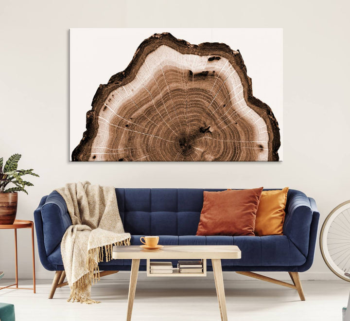 Rustic Wood Rings Wall Art | Nature-Inspired Tree Ring Canvas Print | Ready to Hang and Framed for Farmhouse Wall Decor