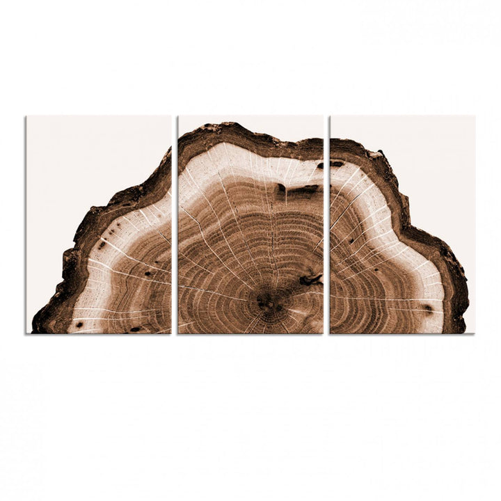 45195-MGV-CV-60X30-3P-Rustic Wood Rings Wall Art | Nature-Inspired Tree Ring Canvas Print | Ready to Hang and Framed for Farmhouse Wall Decor