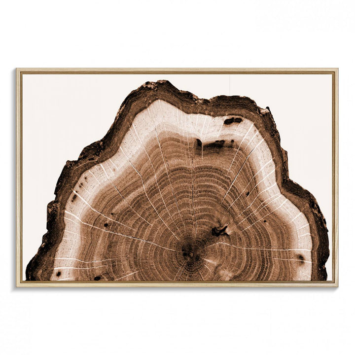 Rustic Wood Rings Wall Art | Nature-Inspired Tree Ring Canvas Print | Ready to Hang and Framed for Farmhouse Wall Decor