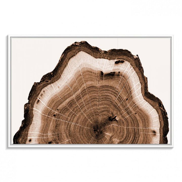 Rustic Wood Rings Wall Art | Nature-Inspired Tree Ring Canvas Print | Ready to Hang and Framed for Farmhouse Wall Decor