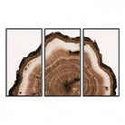 45195-MGV-FC-48X32-3P_Black-Rustic Wood Rings Wall Art | Nature-Inspired Tree Ring Canvas Print | Ready to Hang and Framed for Farmhouse Wall Decor