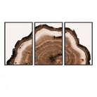 45195-MGV-FC-60X30-3P_Black-Rustic Wood Rings Wall Art | Nature-Inspired Tree Ring Canvas Print | Ready to Hang and Framed for Farmhouse Wall Decor