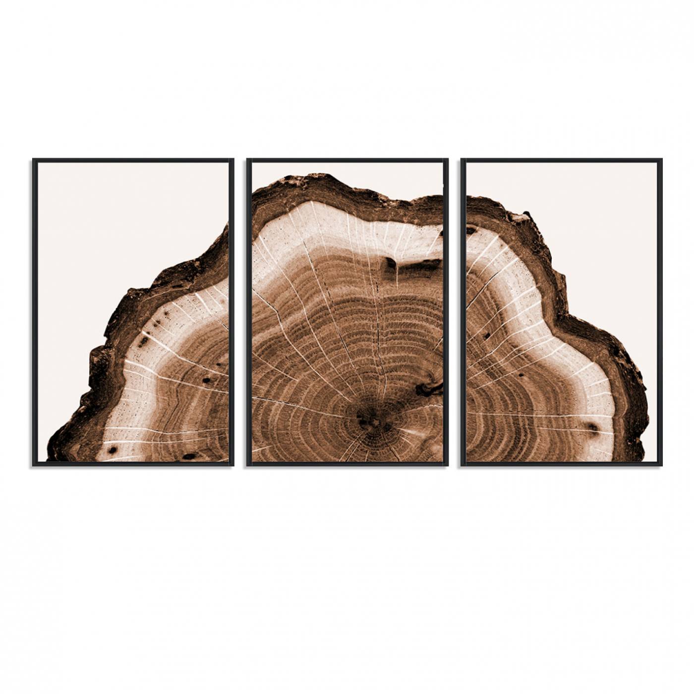 45195-MGV-FC-60X30-3P_Black-Rustic Wood Rings Wall Art | Nature-Inspired Tree Ring Canvas Print | Ready to Hang and Framed for Farmhouse Wall Decor