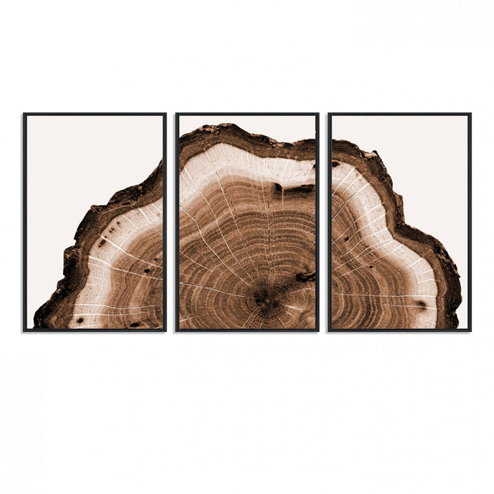 45195-MGV-FC-60X30-3P_Black-Rustic Wood Rings Wall Art | Nature-Inspired Tree Ring Canvas Print | Ready to Hang and Framed for Farmhouse Wall Decor