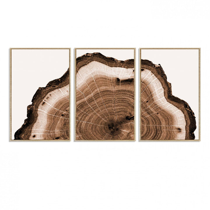 45195-MGV-FC-60X30-3P_Natural-Rustic Wood Rings Wall Art | Nature-Inspired Tree Ring Canvas Print | Ready to Hang and Framed for Farmhouse Wall Decor