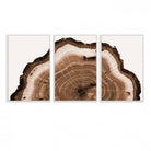 45195-MGV-FC-60X30-3P_White-Rustic Wood Rings Wall Art | Nature-Inspired Tree Ring Canvas Print | Ready to Hang and Framed for Farmhouse Wall Decor