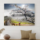Edit-Images-Sakura Cherry Blossom Pathway Canvas Wall Art – Tranquil Walk Through Blossoming Nature – Ready to Hang