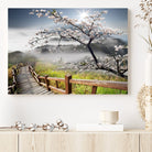 Edit-Images-Sakura Cherry Blossom Pathway Canvas Wall Art – Tranquil Walk Through Blossoming Nature – Ready to Hang