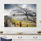 Edit-Images-Sakura Cherry Blossom Pathway Canvas Wall Art – Tranquil Walk Through Blossoming Nature – Ready to Hang