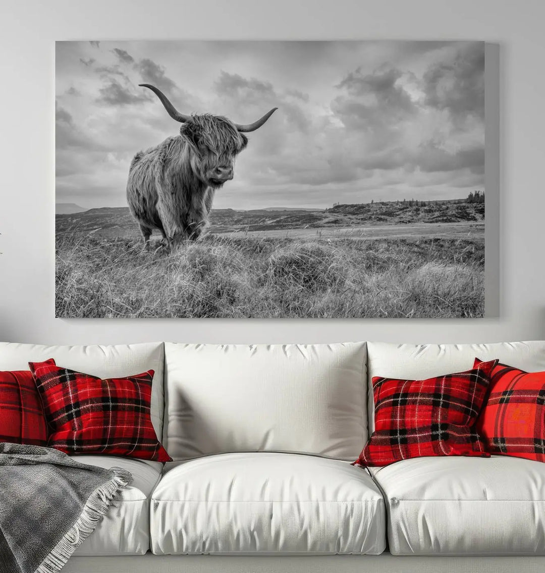 The Scottish Cow Canvas Wall Art, gallery wrapped for elegance, hangs prominently in the room.