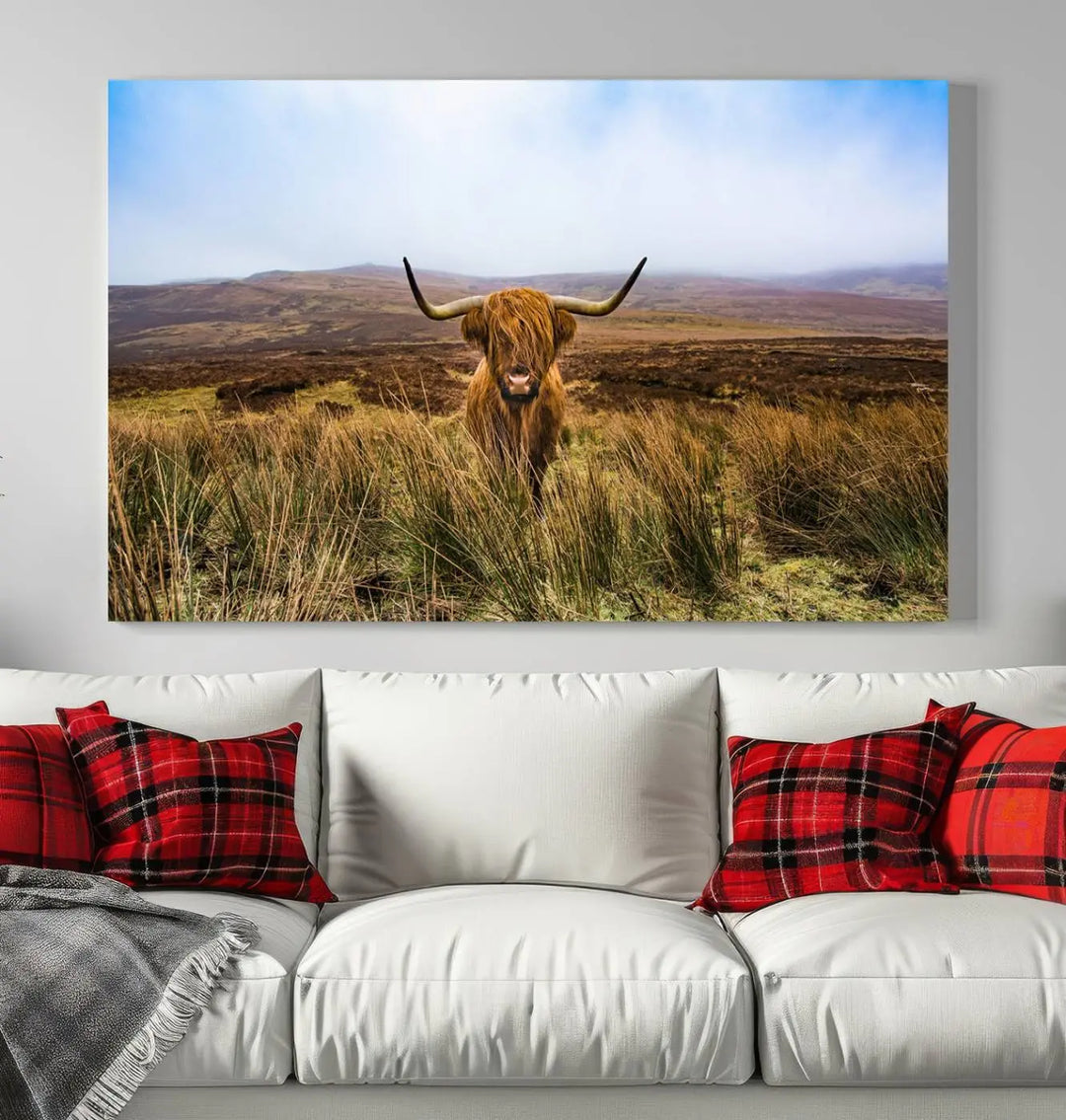 Scottish Highland Cow Cattle Art Print on Farmhouse Wall Art Canvas, crafted on premium gallery-wrapped, museum-quality canvas.