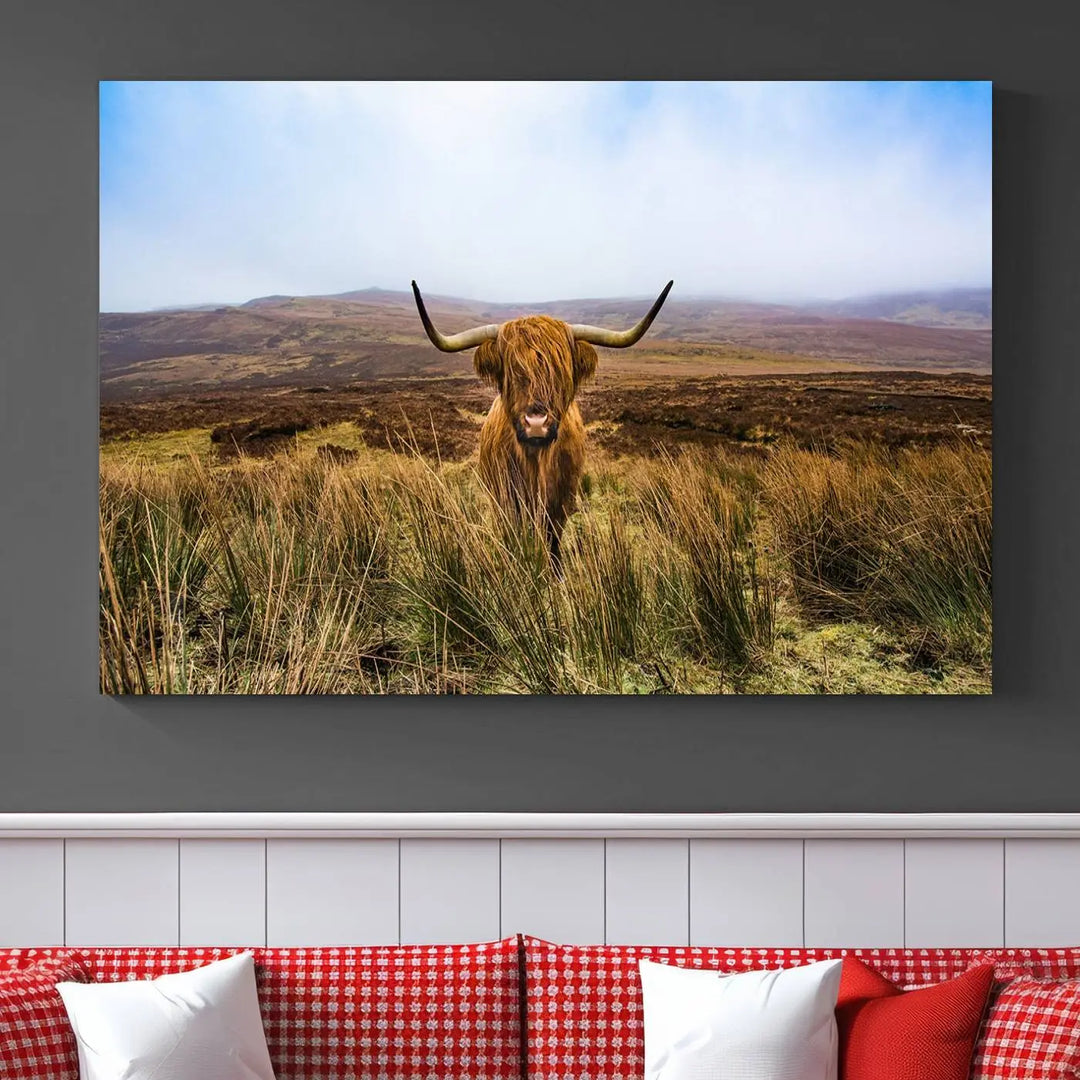 Scottish Highland Cow Cattle Art Print Farmhouse Wall Art Canvas Print 