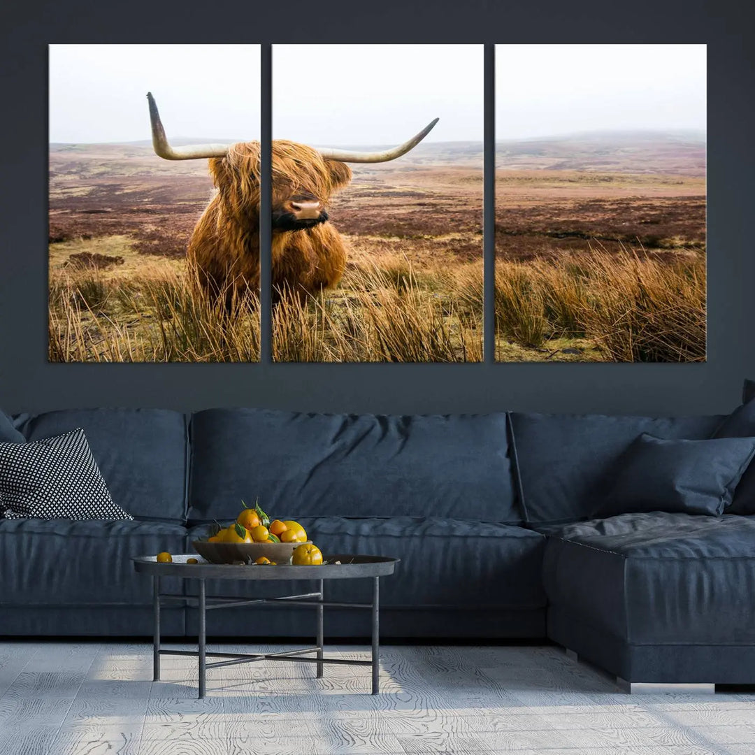 Hanging on the wall is a triptych of the "Scottish Highland Cow Cattle Art Print Farmhouse Wall Art Canvas Print." This museum-quality canvas is ready to hang and features a UV-protective coating, ensuring lasting vibrancy.