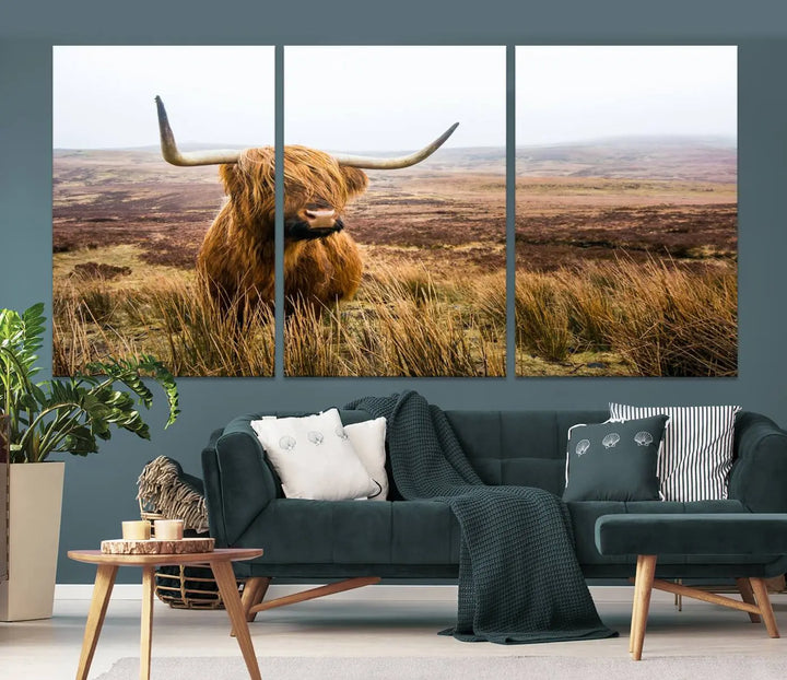 Hanging on the wall is a triptych of the "Scottish Highland Cow Cattle Art Print Farmhouse Wall Art Canvas Print." This museum-quality canvas is ready to hang and features a UV-protective coating, ensuring lasting vibrancy.