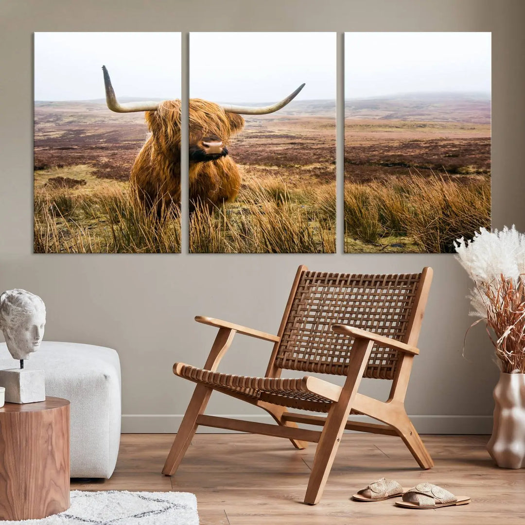 Hanging on the wall is a triptych of the "Scottish Highland Cow Cattle Art Print Farmhouse Wall Art Canvas Print." This museum-quality canvas is ready to hang and features a UV-protective coating, ensuring lasting vibrancy.