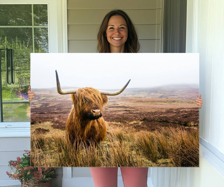 Scottish Highland Cow Cattle Art Print Farmhouse Wall Art Canvas Print