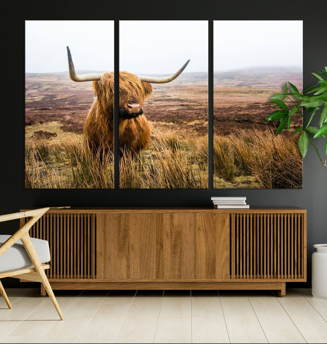 Scottish Highland Cow Cattle Art Print Farmhouse Wall Art Canvas Print