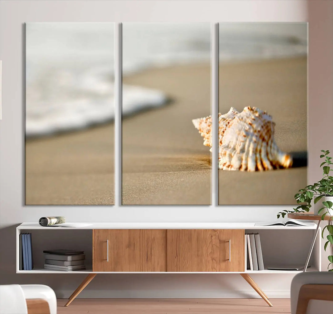 The triptych artwork titled "Sea Shell on the Beach Canvas Wall Art Beach Canvas Print" showcases a seashell on a sandy beach with ocean waves in the background, creating a stunning piece of coastal wall decor.