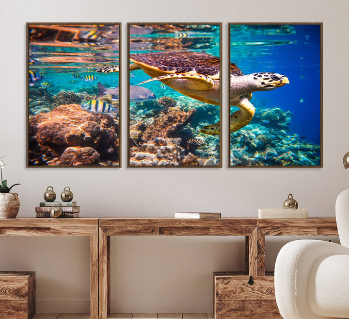 66614-MGV-FC-60X30-3P_Walnut-Sea Turtle Wall Art Canvas Print – Vibrant Ocean Coral Reef Décor, Ready to Hang