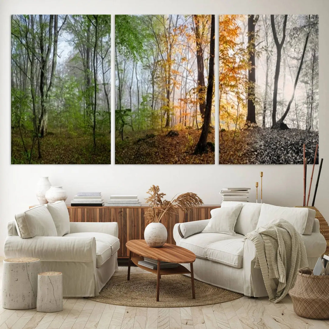 A Changing Seasons in Nature triptych illustrating woodland beauty.