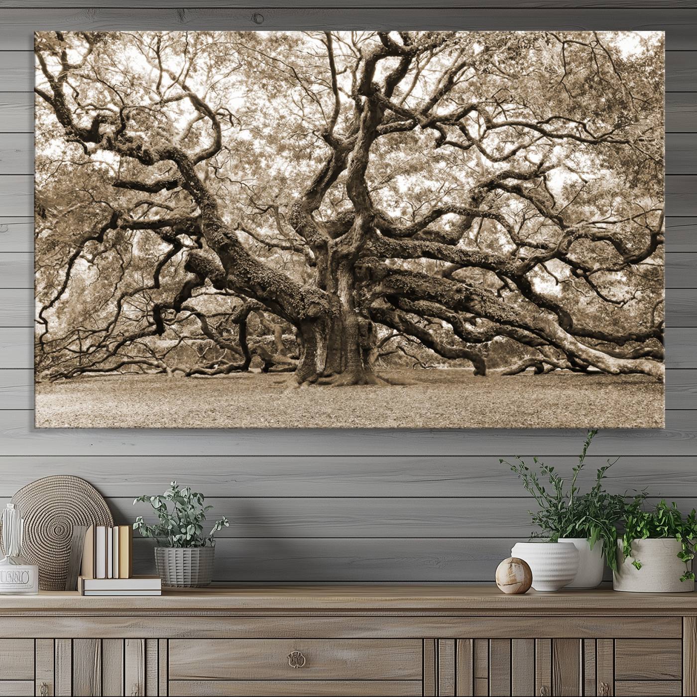 Sepia Framed Angel Oak Tree Wall Art - 3-Panel Canvas Prints, Large Green Nature Artwork, Ready to Hang Home Decor for Living Room, Office,
