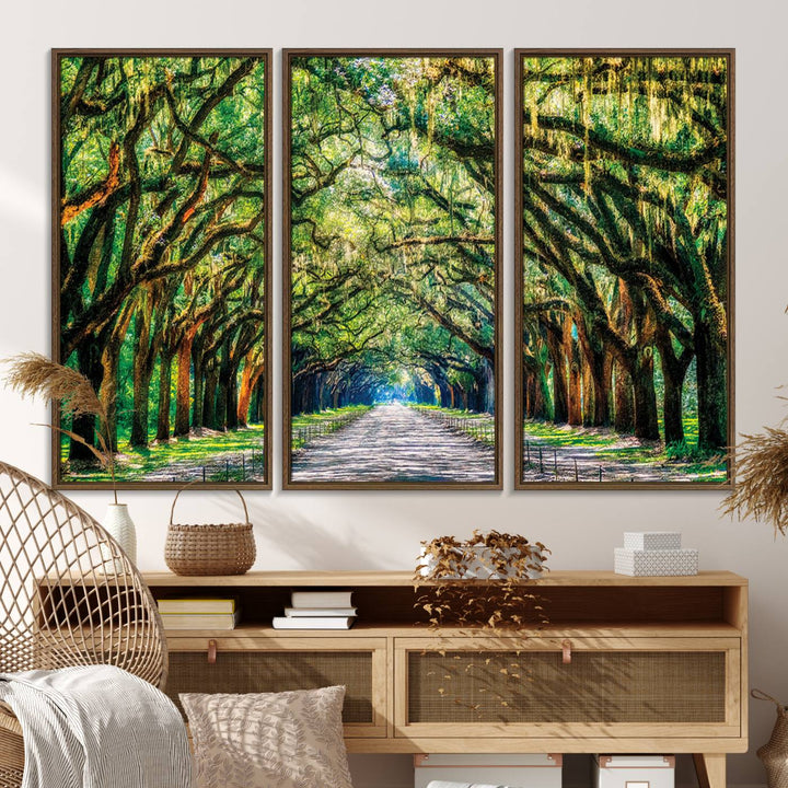 77105-MGV-FC-48X32-3P_Walnut-Serene Tree Tunnel Wall Art Canvas Print – Pathway Under Canopy of Lush Green Trees, Nature-Inspired Decor for Living Room – Ready to Hang