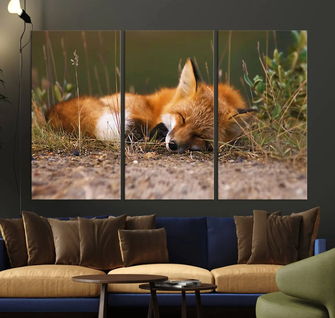 A piece of canvas wall art, featuring the Sleeping Fox Wall Art Canvas Print, hangs in three panels. This farmhouse and animal-themed decor infuses the room with a natural touch. Made from premium canvas and handmade in the USA, it adds elegance and charm to any space.