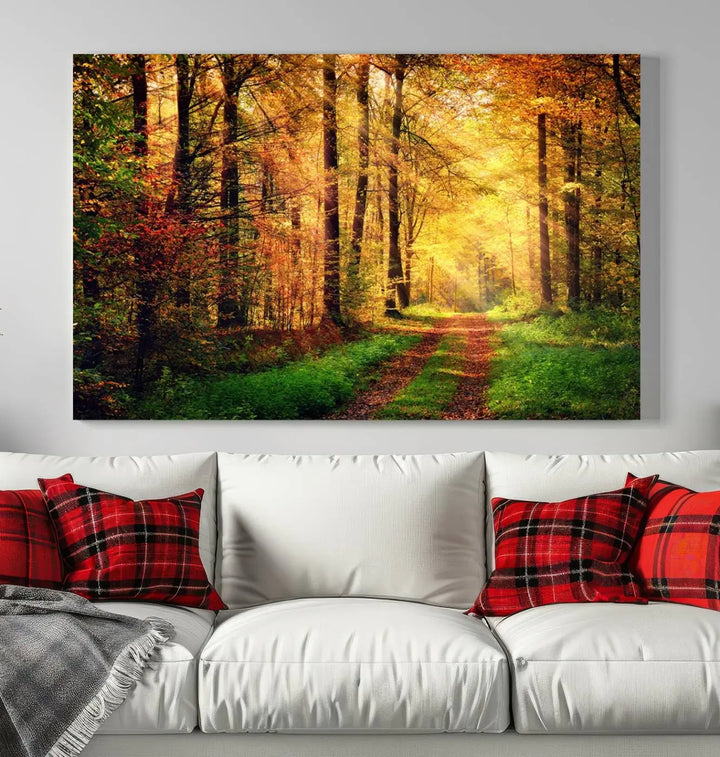 The Sunlight Through Trees Wall Art Canvas Print showcases a sunlit forest path in autumn on gallery-wrapped, museum-quality canvas with UV-protective coating.