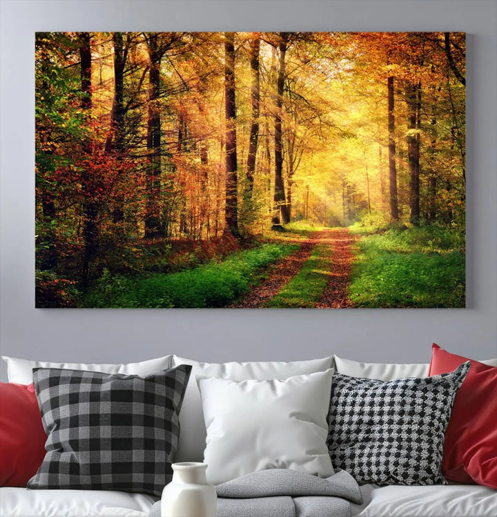 The Sunlight Through Trees Wall Art Canvas Print showcases a sunlit forest path in autumn on gallery-wrapped, museum-quality canvas with UV-protective coating.