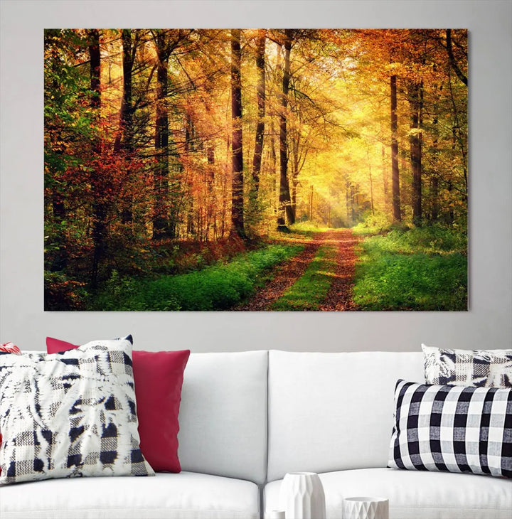 The Sunlight Through Trees Wall Art Canvas Print showcases a sunlit forest path in autumn on gallery-wrapped, museum-quality canvas with UV-protective coating.